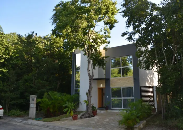 Hola, Paradise, Pool, Gym, And Tropical Escape Puerto Morelos
