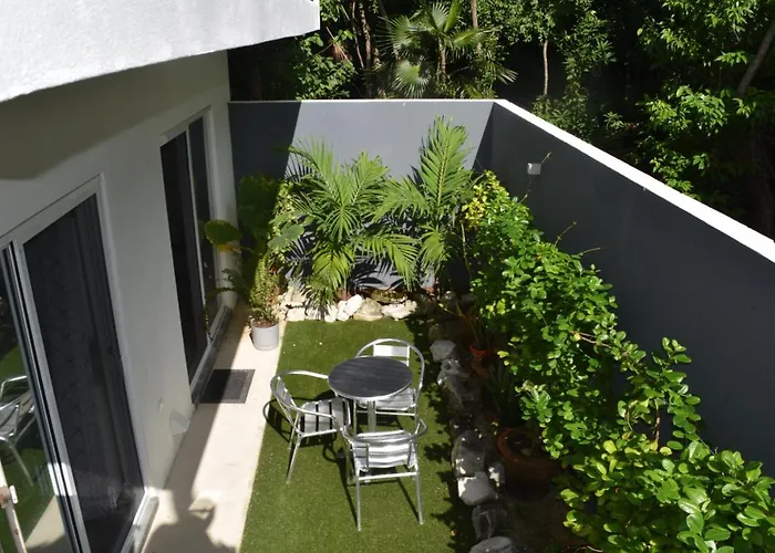 Hola, Paradise, Pool, Gym, And Tropical Escape