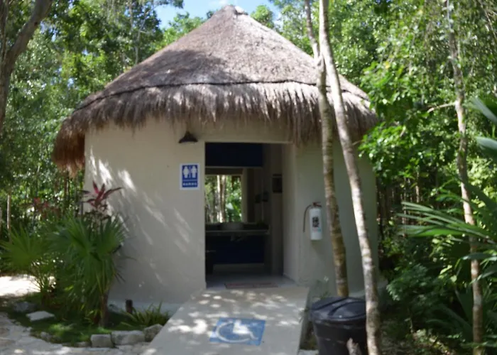 Hola, Paradise, Pool, Gym, And Tropical Escape