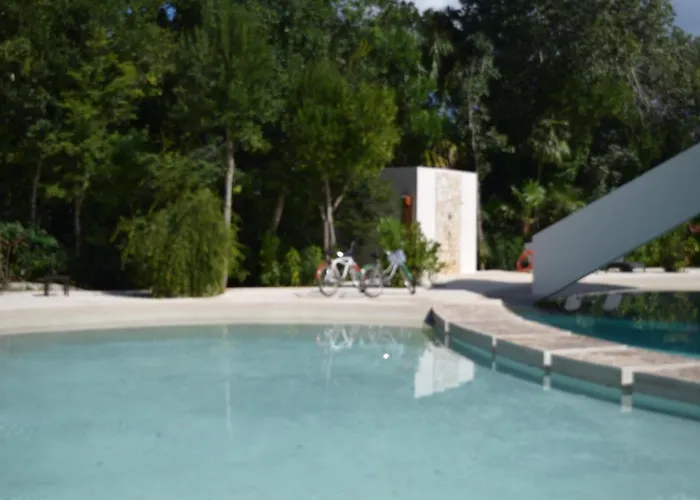 Casa de férias Hola, Paradise, Pool, Gym, And Tropical Escape