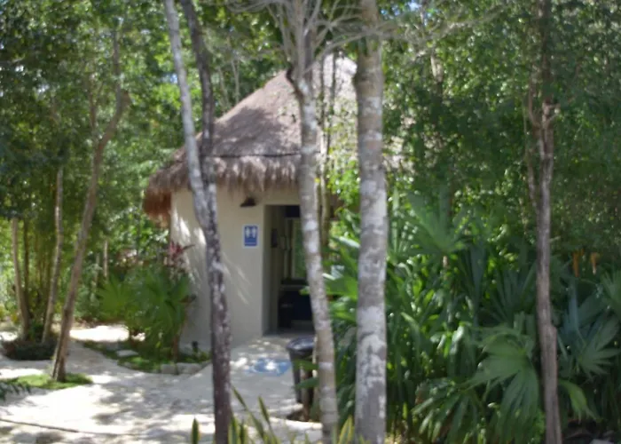 Hola, Paradise, Pool, Gym, And Tropical Escape Casa de férias